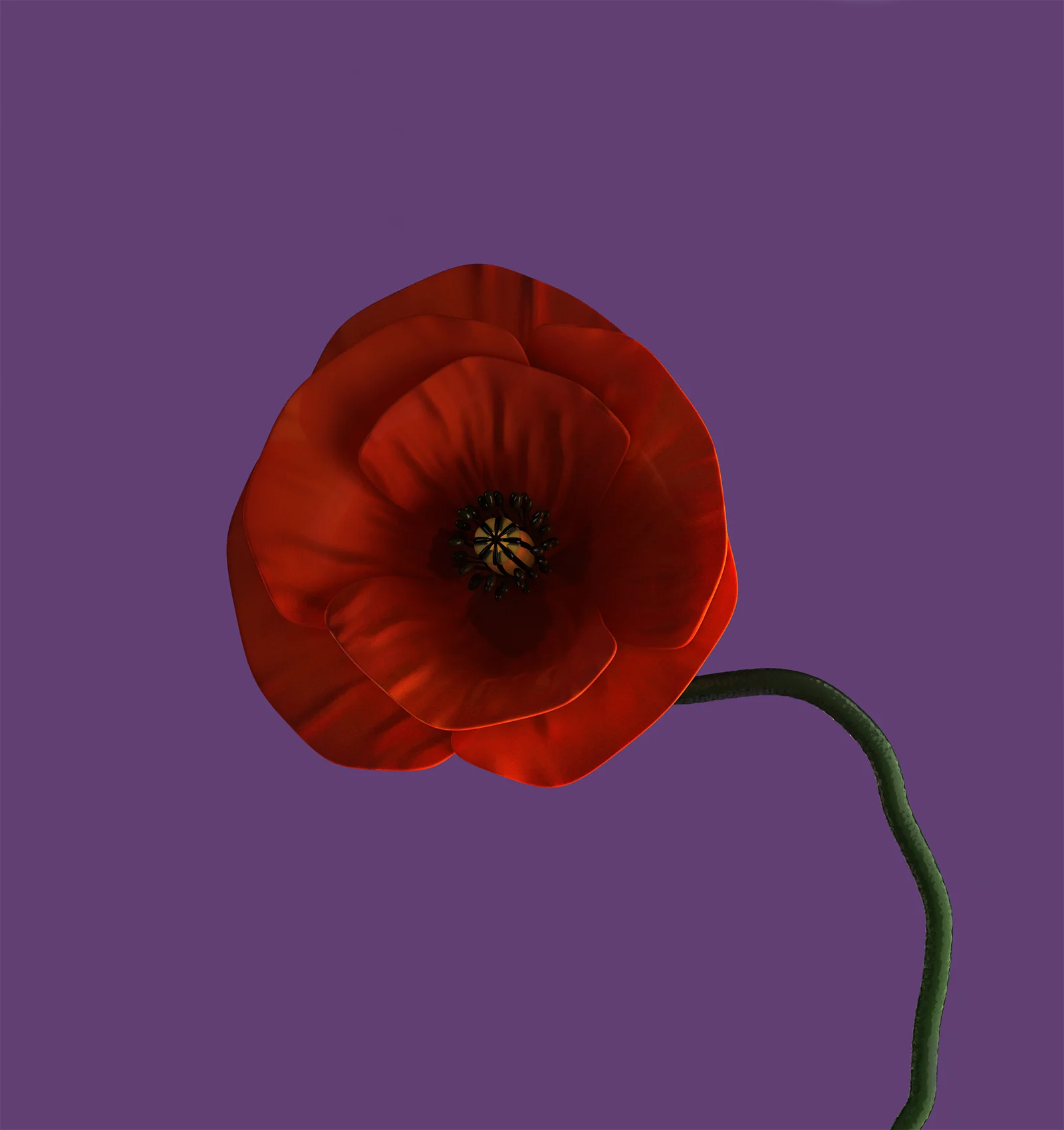 Styling_Stills39 Close-up of a vivid orange poppy flower with delicate textured petals and a curved green stem against a lavender background.